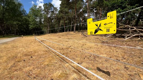 Wolf resistant fences appear to work but only with naive wolves