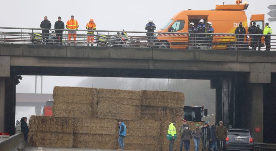 Yellow caps new symbol of the farmers revolt