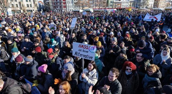 a human tide against the far right AfD party – LExpress