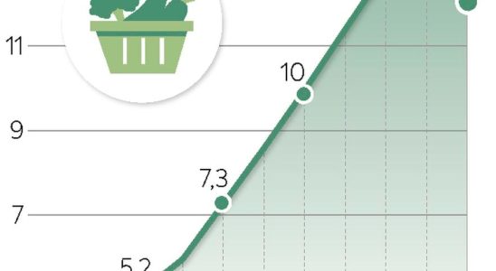 the figures for a surge in 2023 – LExpress