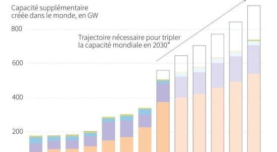 the figures for record global growth in 2023 – LExpress