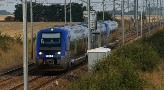 the revolt of eight regions against SNCF Reseau – LExpress