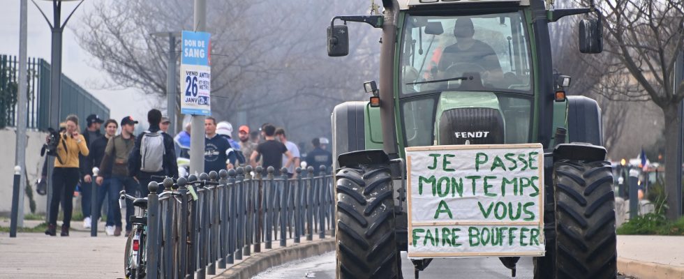 veterinary deserts another anguish of the agricultural world – LExpress