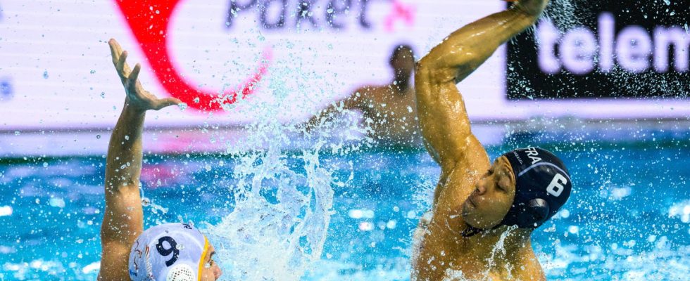 2024 World Swimming Championships historic feat of the French water