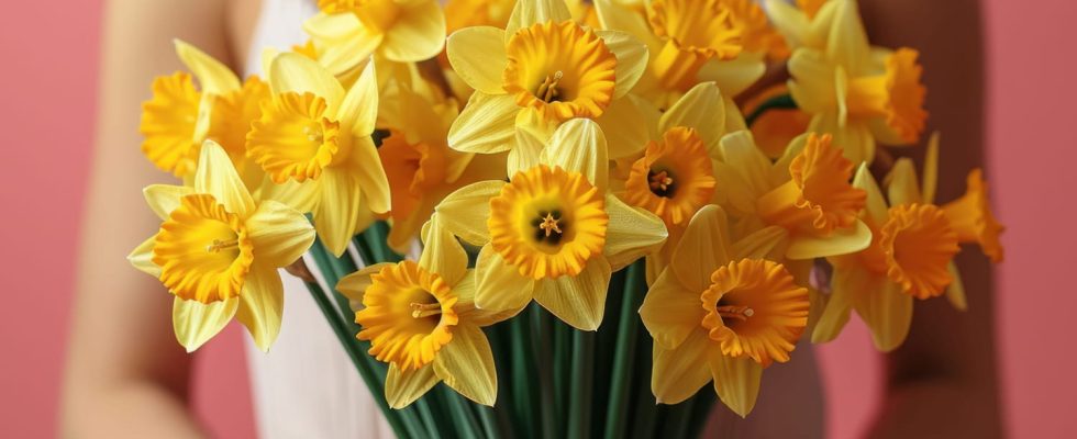 A Daffodil against Cancer 2024 race where to buy a