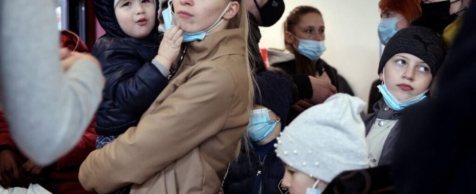 A UNHCR report on Ukrainian refugees in France highlights the