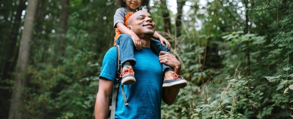 A simple walk in nature could improve attention and concentration