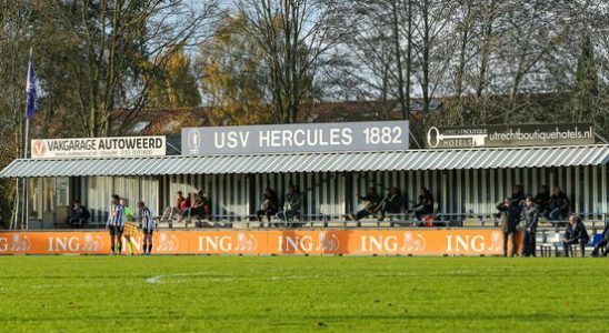 Amateur football transfers Hercules picks up midfielder from third division