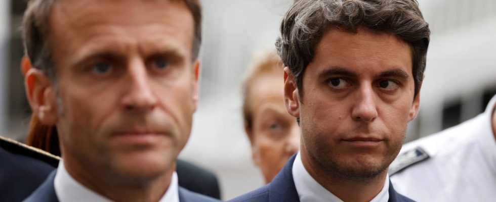 Between Emmanuel Macron and Gabriel Attal its kitten mode