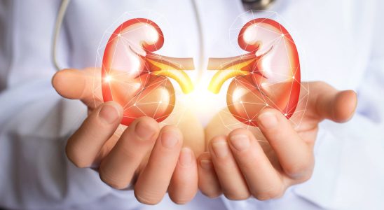 CKD EPI normal low level kidney disease