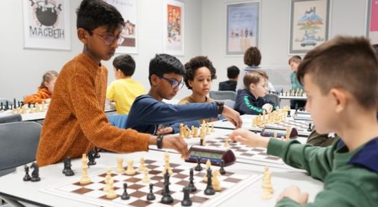 Chess is on the rise among primary school students In