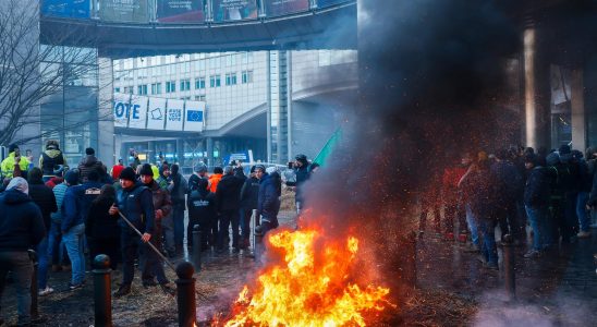 Despite farmer protests – climate law approved in the EU