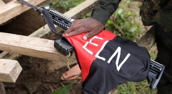 ELN guerrillas end armed strike after being accused of violating