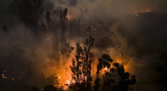 Fires in Chile dozens of deaths striking images