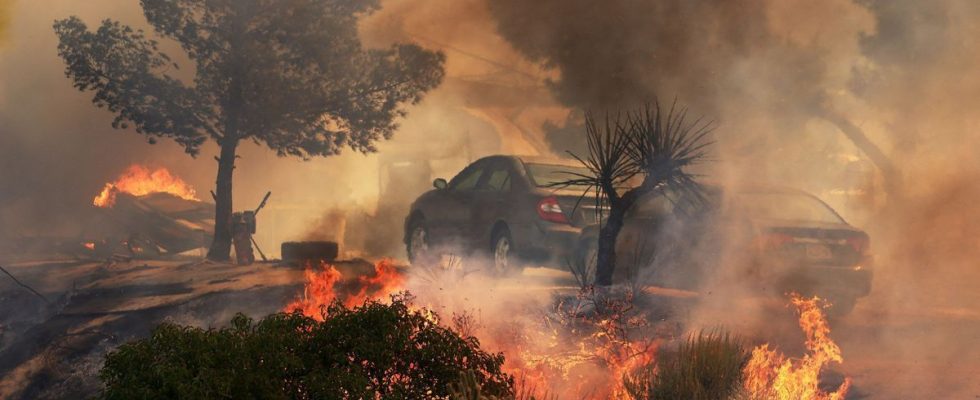 Forest fires associated with an increase in emergency room visits