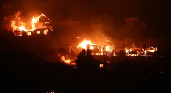 Forest fires in Chile 10 people lost their lives A