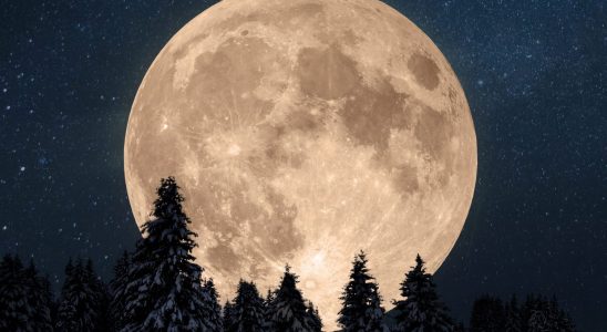 Full moon 2024 what effects on your sign on February