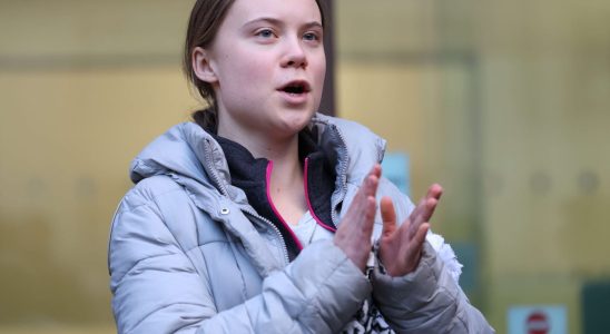 Greta Thunberg demonstrates in Tarn against the A69