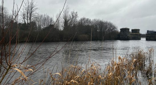 In Northern Ireland Lough Neagh lake victim of devastating pollution