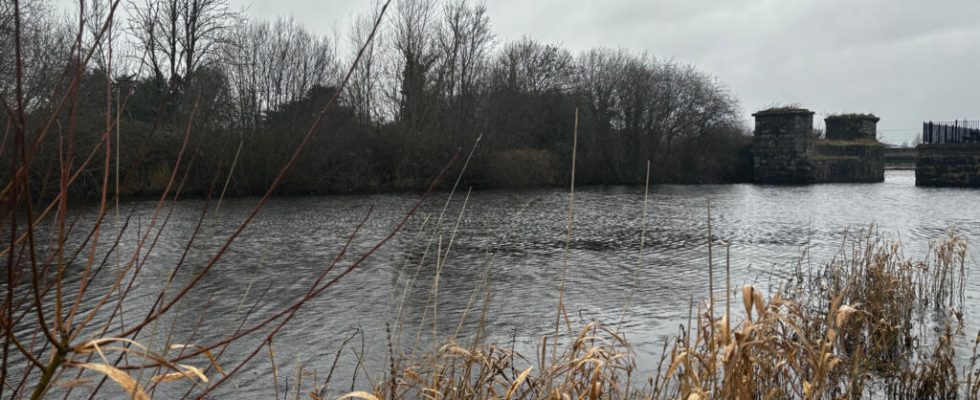 In Northern Ireland Lough Neagh lake victim of devastating pollution