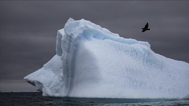 It continues to spread around the world Millions of birds