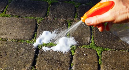 It is the best solution against moss on your driveway