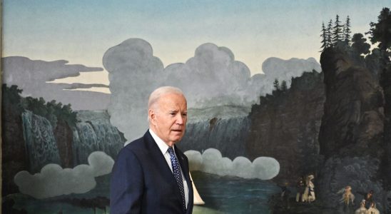 Joe Biden the worst candidate… except for all the others