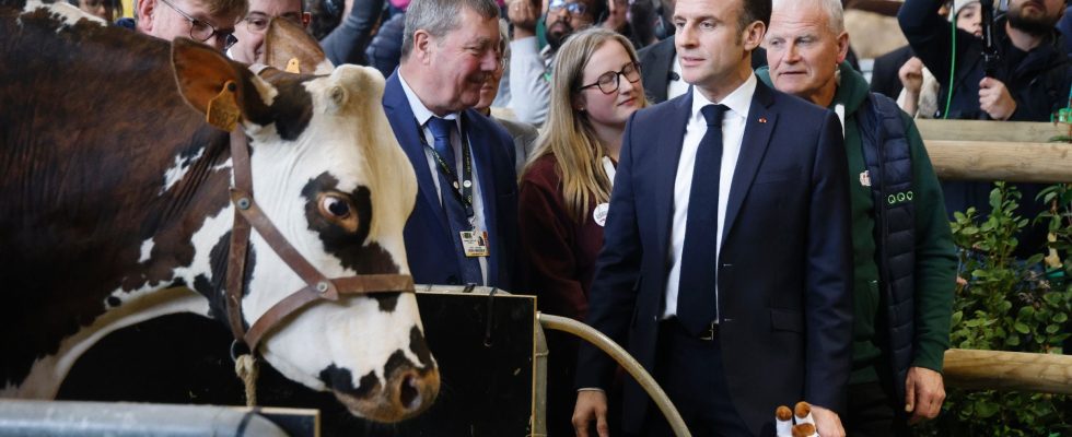 Macron specifies the timetable for responding to the crisis –