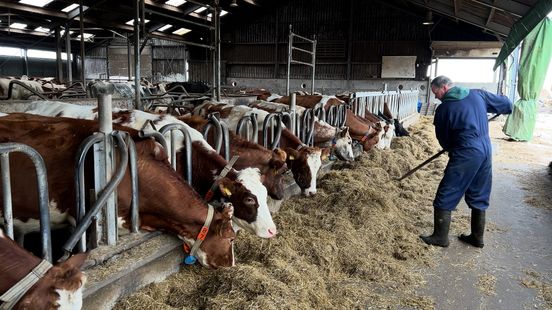 Organic farmer also thinks rules are far too strict It