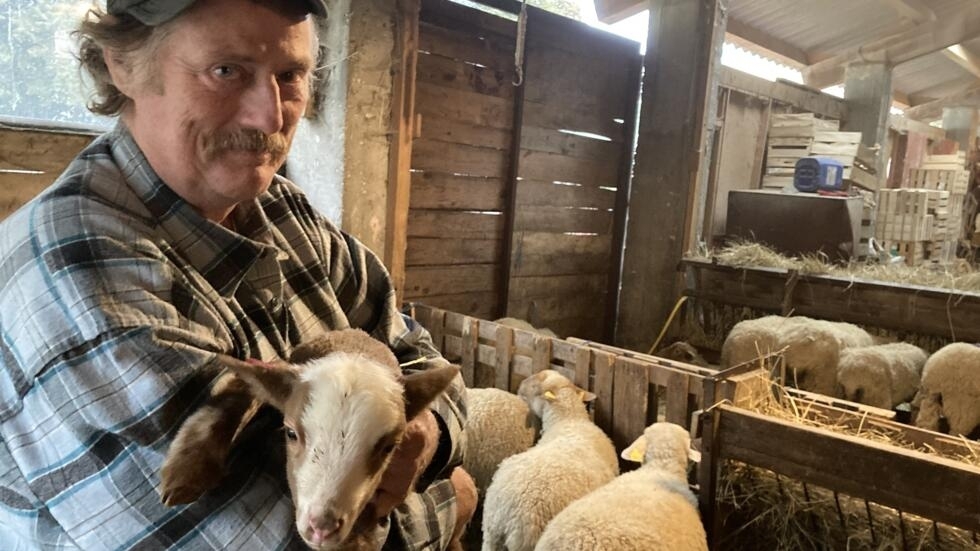 Vincent Delmas market gardener and sheep breeder.