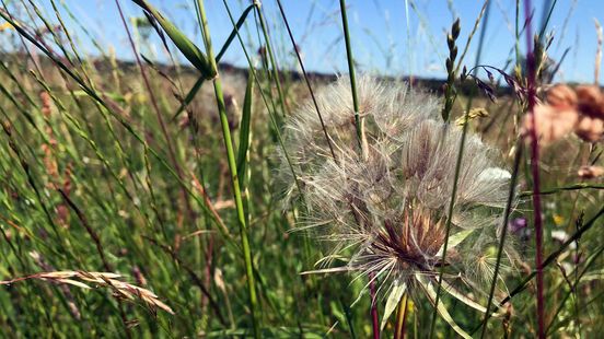 Research provinces are not achieving nitrogen targets with current plans