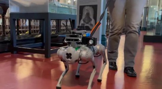 Scientists have developed a guide robot dog for visually impaired