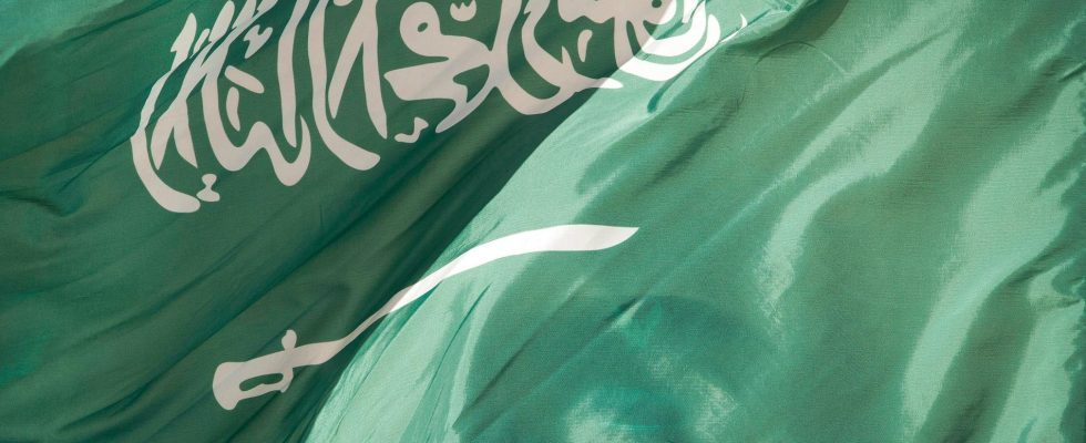 Seven executed in Saudi Arabia