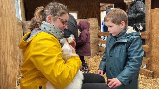 Spring is approaching Geertjes Hoeve packed with baby goats