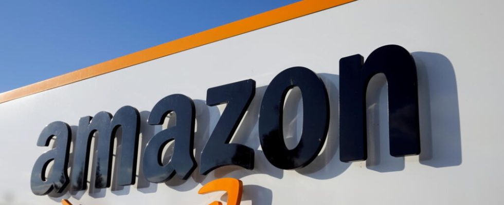 Suspension of accreditations of Amazon lobbyists in the European Parliament