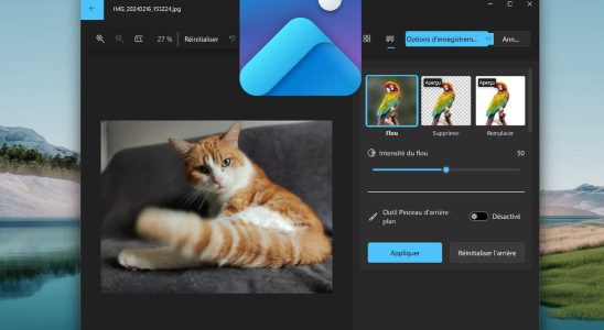 The magic eraser arrives in the Windows Photos application