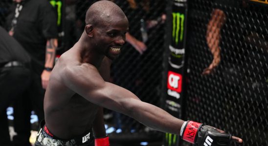 Themba Gorimbo the incredible story of the UFC Zimbabwean