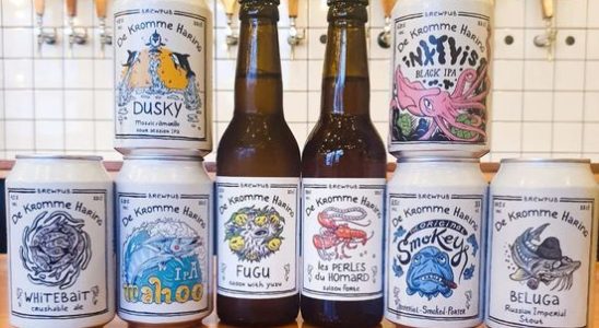 This Utrecht beer maker is brewery of the year A