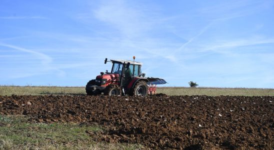 Too many green standards for farmers No more is needed