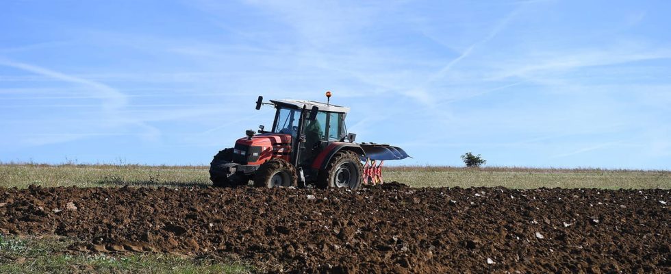 Too many green standards for farmers No more is needed