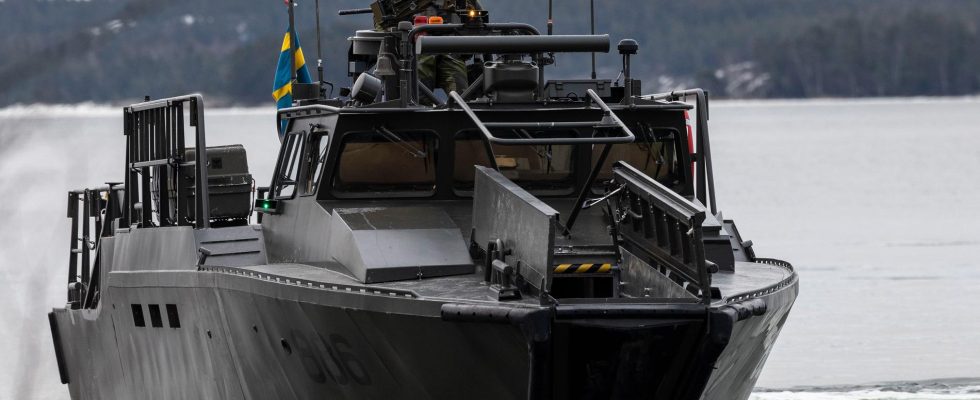 Two goals Thats why Sweden donates combat boats