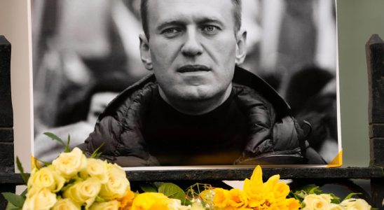 Ukraine Navalny died of a blood clot