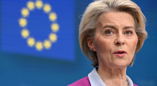 Ursula von der Leyen in favor of the idea of