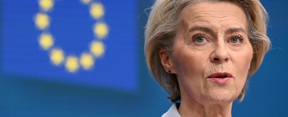 Ursula von der Leyen in favor of the idea of