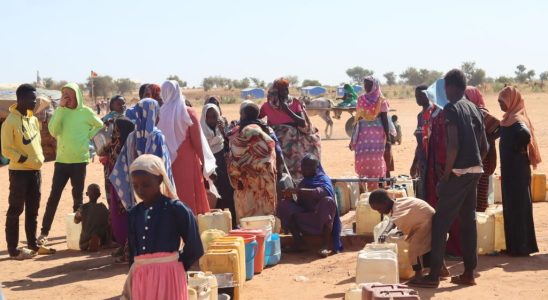 WHO warns of risk of catastrophic famine in Sudan