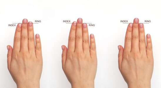 What the length of your fingers says about your personality