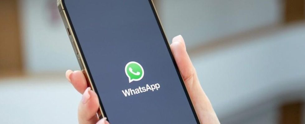 WhatsApp Restricts Taking Profile Picture Screenshots