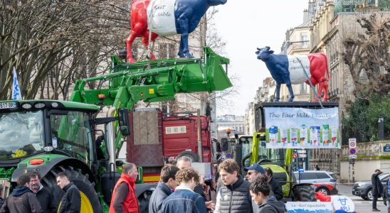 daily mobilizations until the Agricultural Show