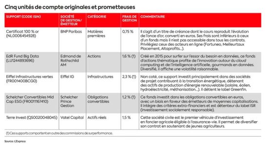 diversify your assets with life insurance – LExpress