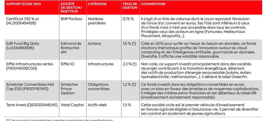 diversify your assets with life insurance – LExpress